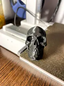 Scull