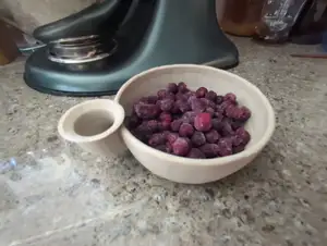 Vortex Fruit Washing Bowl