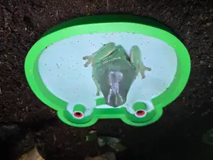 Cute Frog Water Dish for Reptiles and Amphibians