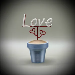Love Pot Plant with Love Heart Leaves
