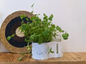 Low-tech automatic watering pot