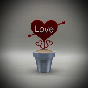 Love Heart and Arrow Pot Plant