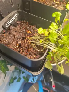 Skadis Plant Box w/ Water Dish