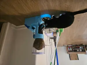 Automatic Cat Feeder