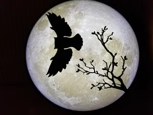 Owl in flight silhouetted by moon lithophane