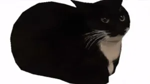 Maxwell the cat lithophane