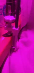 phytolamp holder