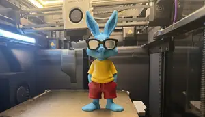 Cool Bunny