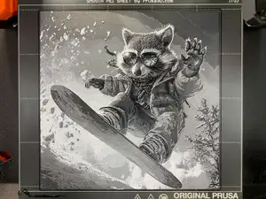 Snowboarding Raccoon - Hueforge