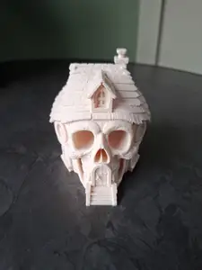 Spooky Skull House
