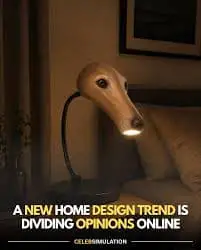 a new home design trend is dividing opinions online