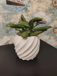 Plant vase