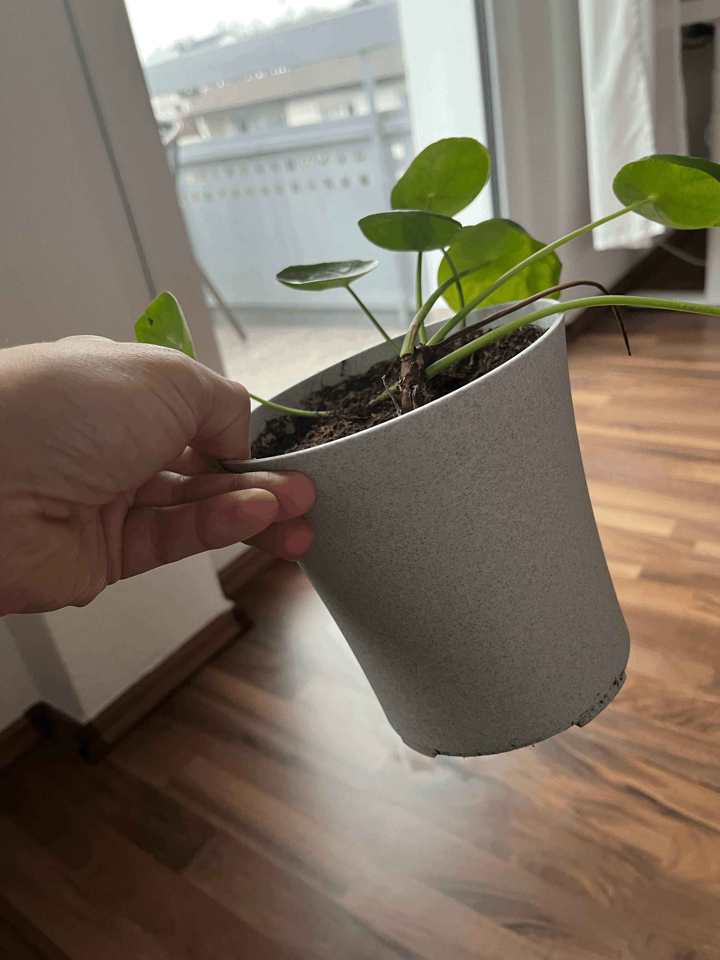 Flower Pot (Ø 14 cm / 5.5 in) with Drainage Holes