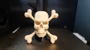 Skull and Crossbones (Jolly Roger)
