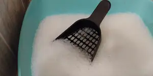 Cat Litter Scoop with large holes