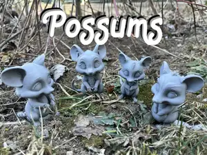 Cute Opossum, Mouse, Rat