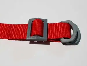 Double D-ring buckle