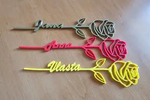 Rose with a name (Anna, Jana, Veronika, Vlasta, Petra, Niki, Lucie, Miriam)