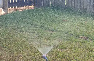 sprinkler