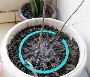 Sprinkler for Plants with Nozzle for Hose