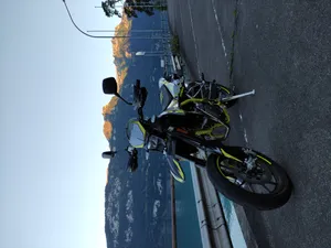 SWM SM 125 R swingarm protectors