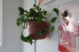 Stacked Donut Planter Wall Mounted (hidden drip tray, no support)