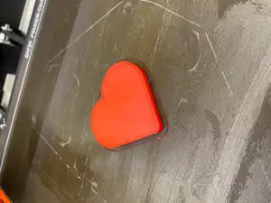 Heart