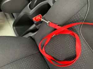 Seat belt car for dog-cat-bags