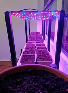 Indoor lamp stand for Plant growth