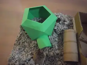 Hamster House