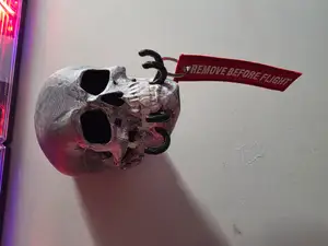 Skull Key Hanger