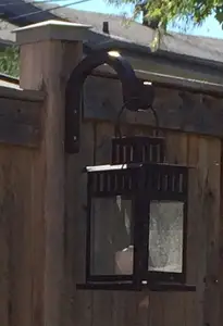 Hanging Plant Hook