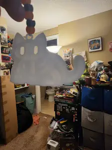 Xray Ghost Cat