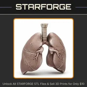 Human Respiratory System Lungs Model for Classroom Use StarForge Kits 3D Print STL File