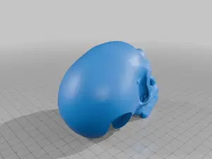 Realistic Human Skull Anatomical Model for Educational Display StarForge Kits 3D Print STL File
