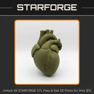 Education Model Human Heart Anatomical Structure for Medical Study StarForge Kits 3D Print STL File