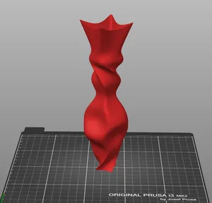 Two Faced Vase