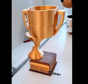 "World's Best CSS Developer" Trophy