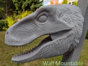 Velociraptor Dinosaur