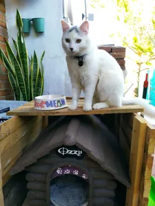 Ozzy name plate