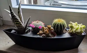 Flowerpot for Five Mini-Cactus