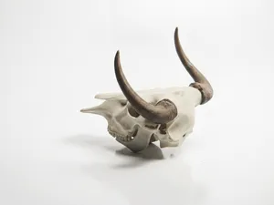 Minotaur Skull Fantasy Sculpture 3D Printable