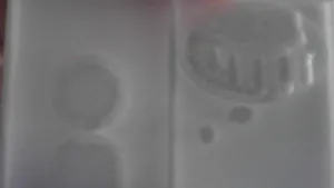 Sad/Distressed Window From Tomodachi Life