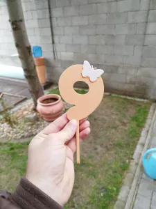 CAKE TOPPER number 9