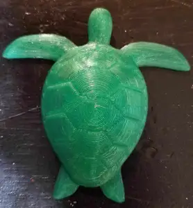 Sea Turtle