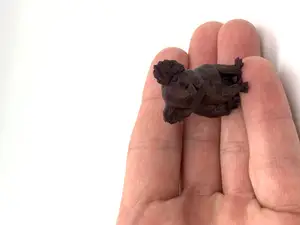 Koala Low(ish) Poly