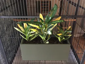 Plant Container for Cage