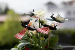 Butterfly money gift - Schmetterling Geldgeschenk