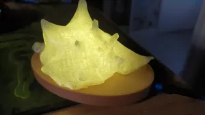 Sea Shell Scan and Led Base