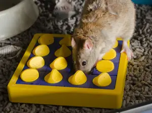 (Pet Enrichment Toy) Sliding Tiles Puzzle +